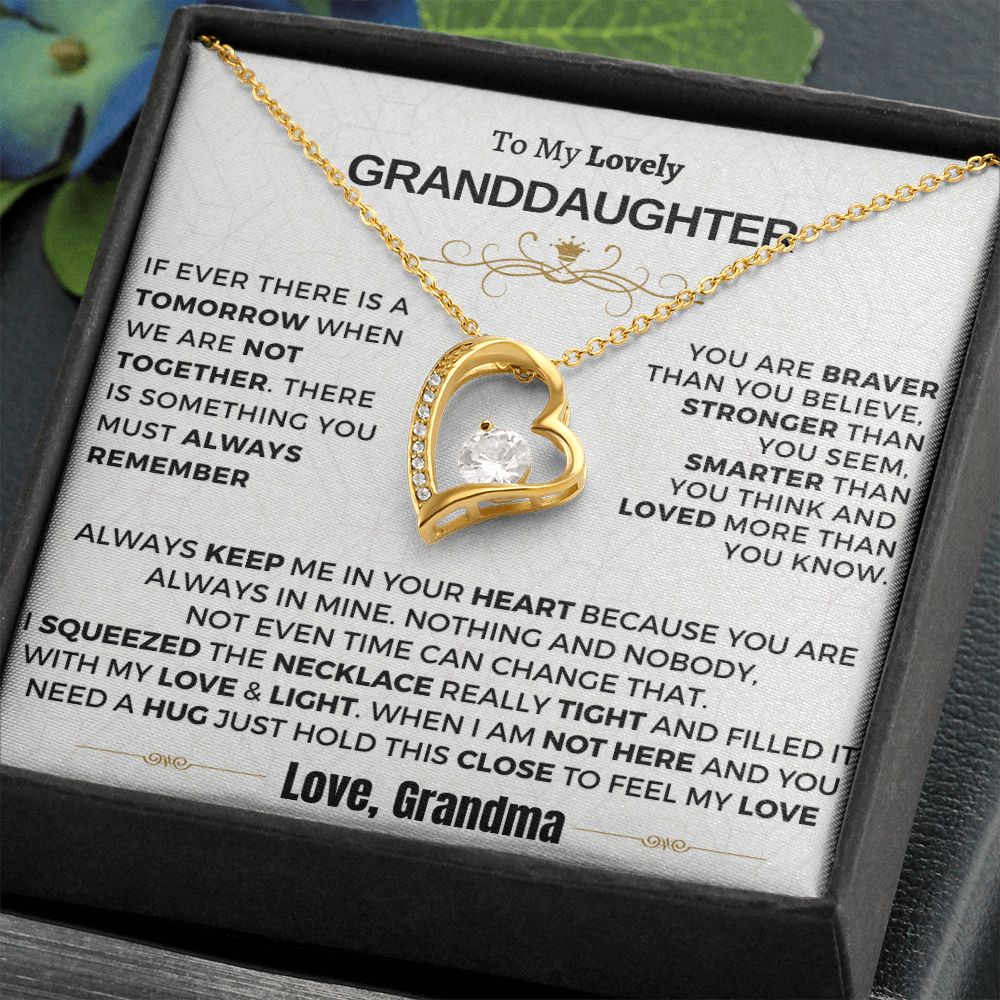 Gift for Granddaughter - Keep me in your heart - HN